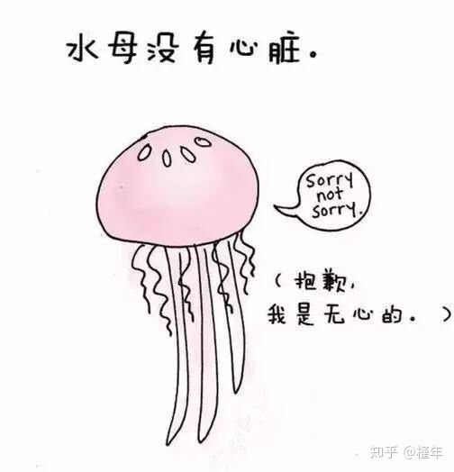 想象中不一样的动物冷知识,悲伤的动物视频