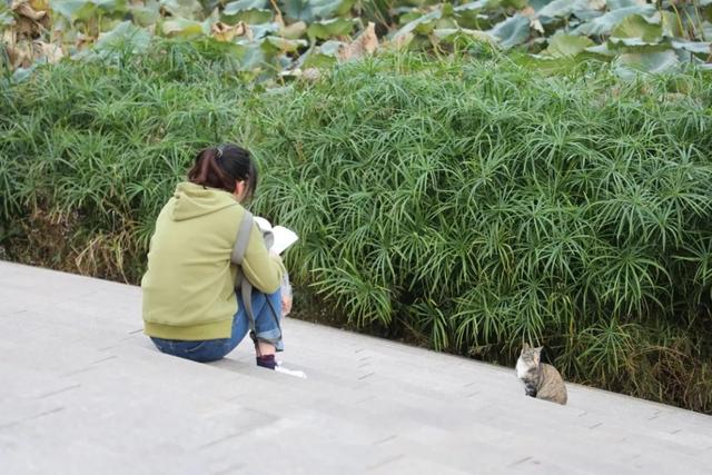 什么叫跨考教育硕士,跨专业考教育硕士好考吗