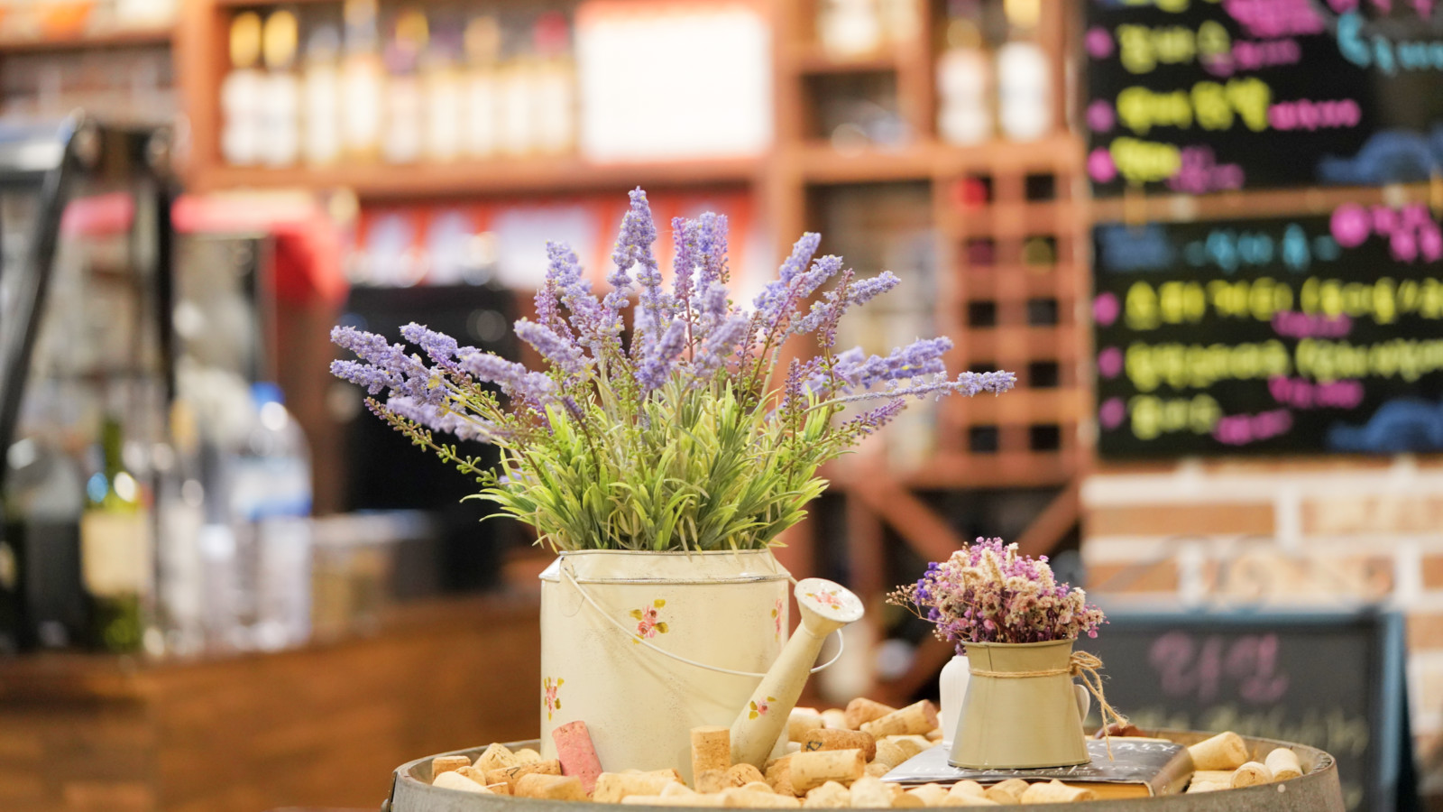 哇，人参随便挖！韩国还能这么玩