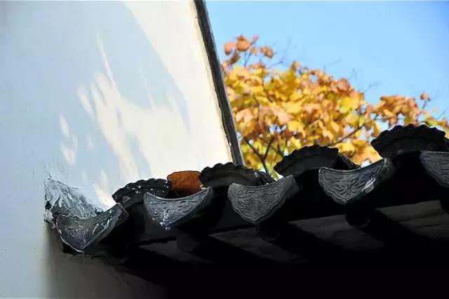 唐诗宋词描写秋天的景色,宋词里的秋天隽永绝美