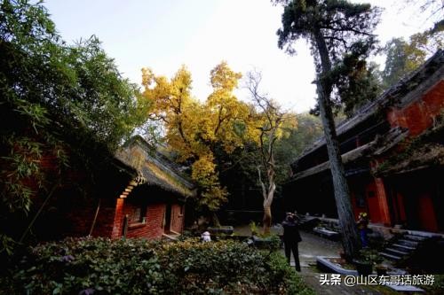 南阳千年古刹菩提寺,南阳镇平弥陀寺