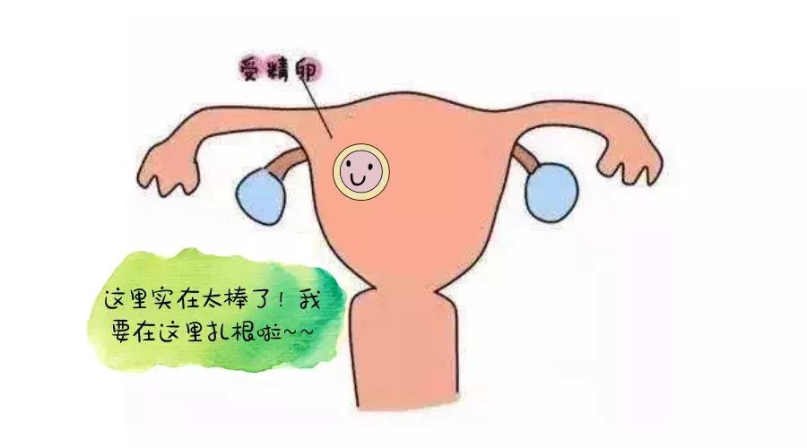 正一正“移植后出血问题”的三观