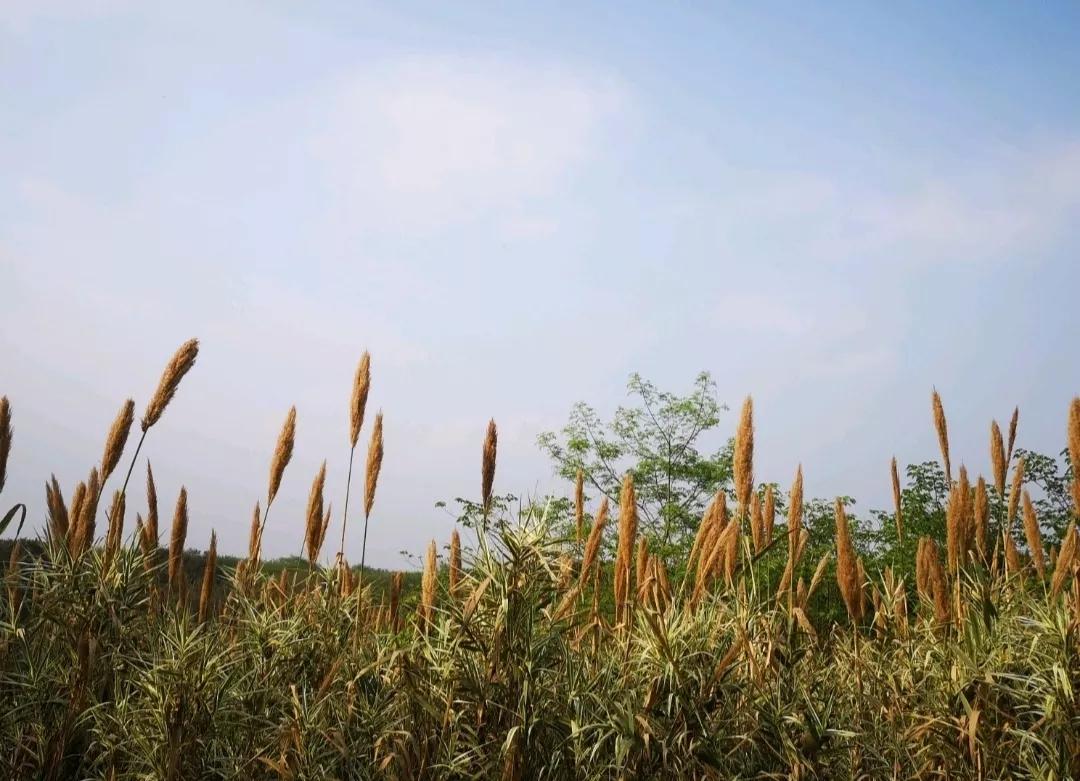 江浙沪五一亲子推荐,北上蓉附近亲子活动