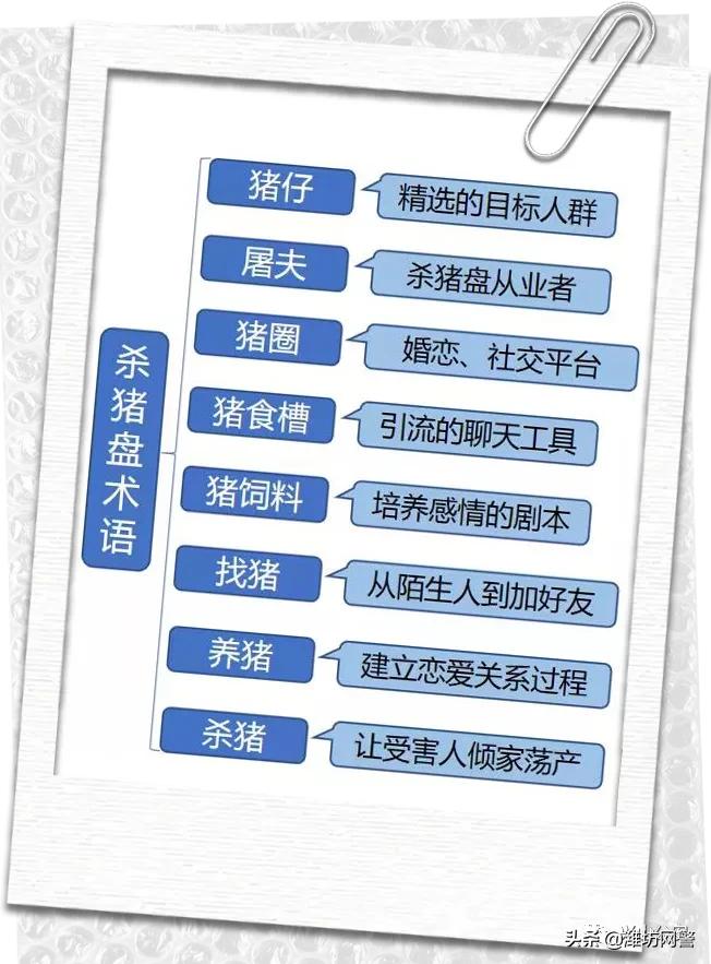 南京一周发生6起大额“杀猪盘”诈骗案，共被骗1089万，受害人全是高知女性​