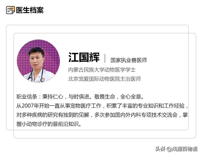 狗狗扭伤和骨折表现有什么区别,狗狗被撞了怎么判断有没有骨折