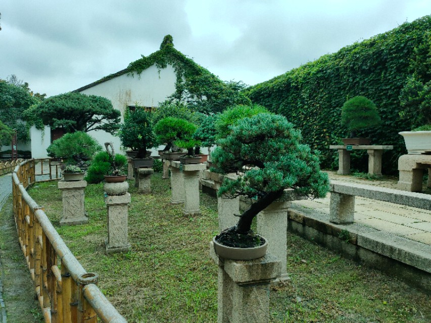 苏州拙政园为什么有名,康熙为什么不去拙政园