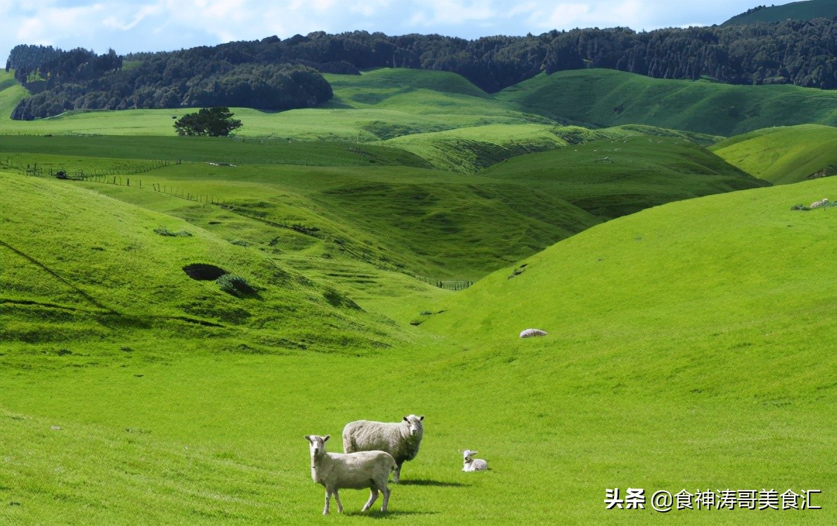 新西兰居民主要吃什么,新西兰的饮食习惯