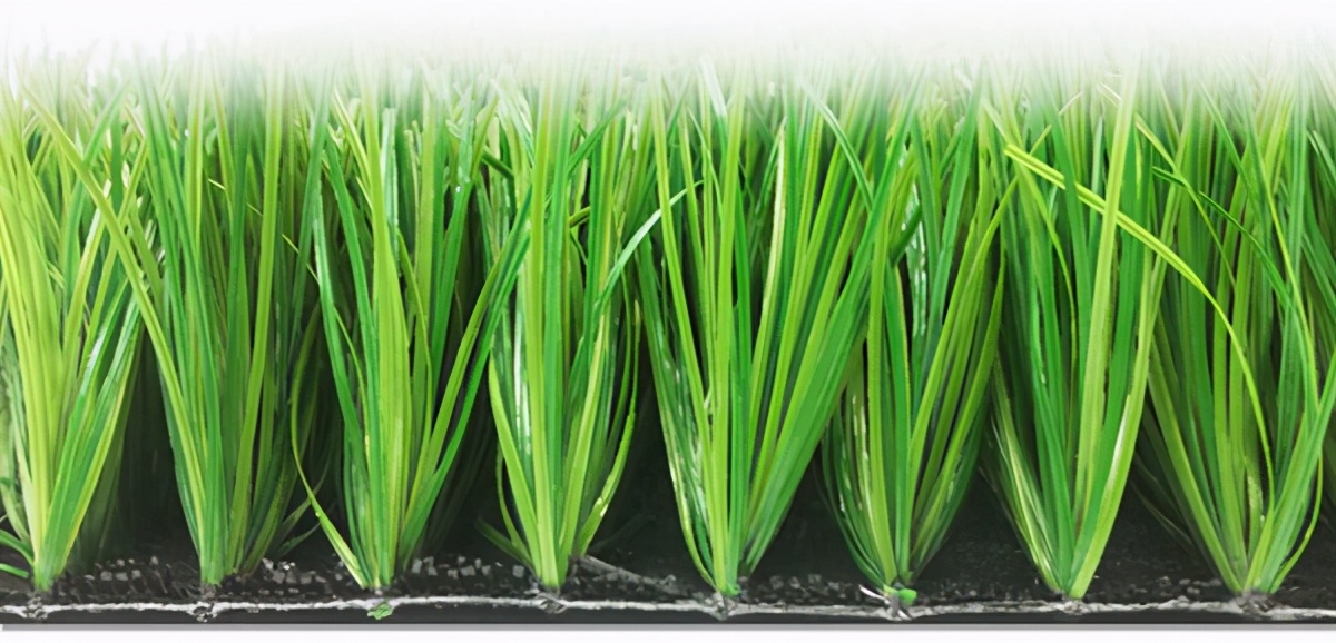 秘鲁甲级联赛含金量如何,秘鲁足球甲级联赛