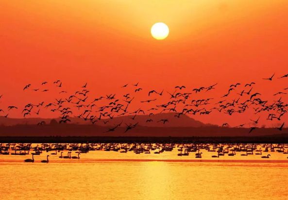 鍗楁槍璞珷鏁呴儭椋庢櫙,姹熻タ璞珷鏁呴儭鍗楁槍娲兘鏂板簻