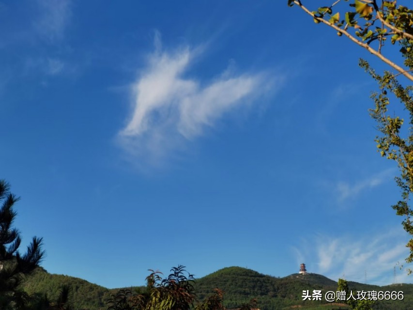 亚临床甲减的原因及治疗方法,老年严重甲减能治好吗