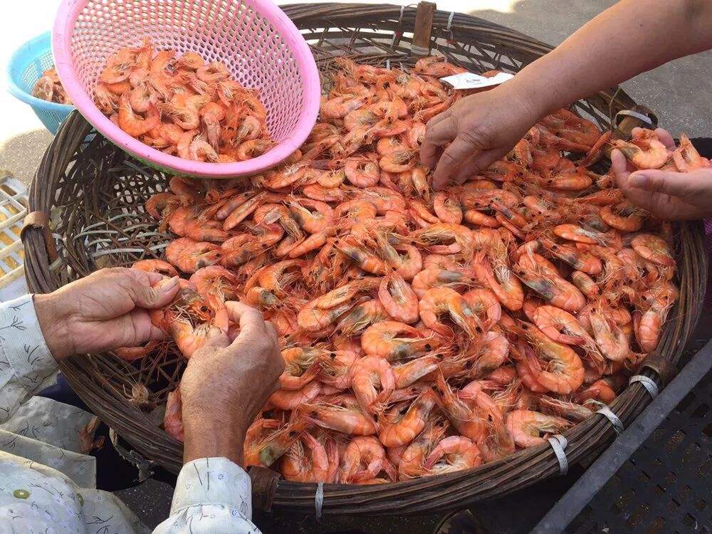 宁波虾干的家常做法,宁波虾干去哪里买