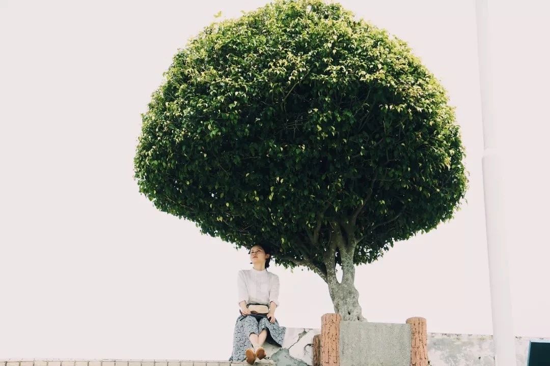 深圳游玩好去处攻略,深圳7个自驾游免费好去处推荐