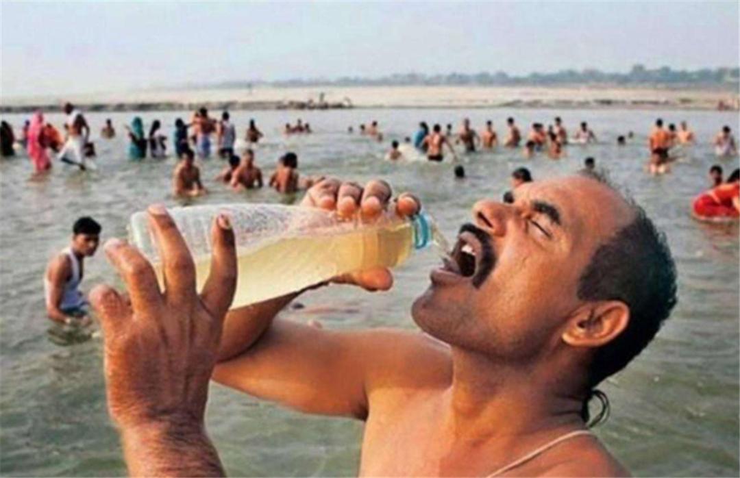 长出白斑！恒河鳖被宠到自然老死而泛滥，中国吃货能解决吗？