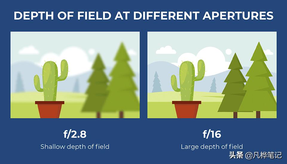 学习摄影知识入门看哪本书,摄影基础知识光圈