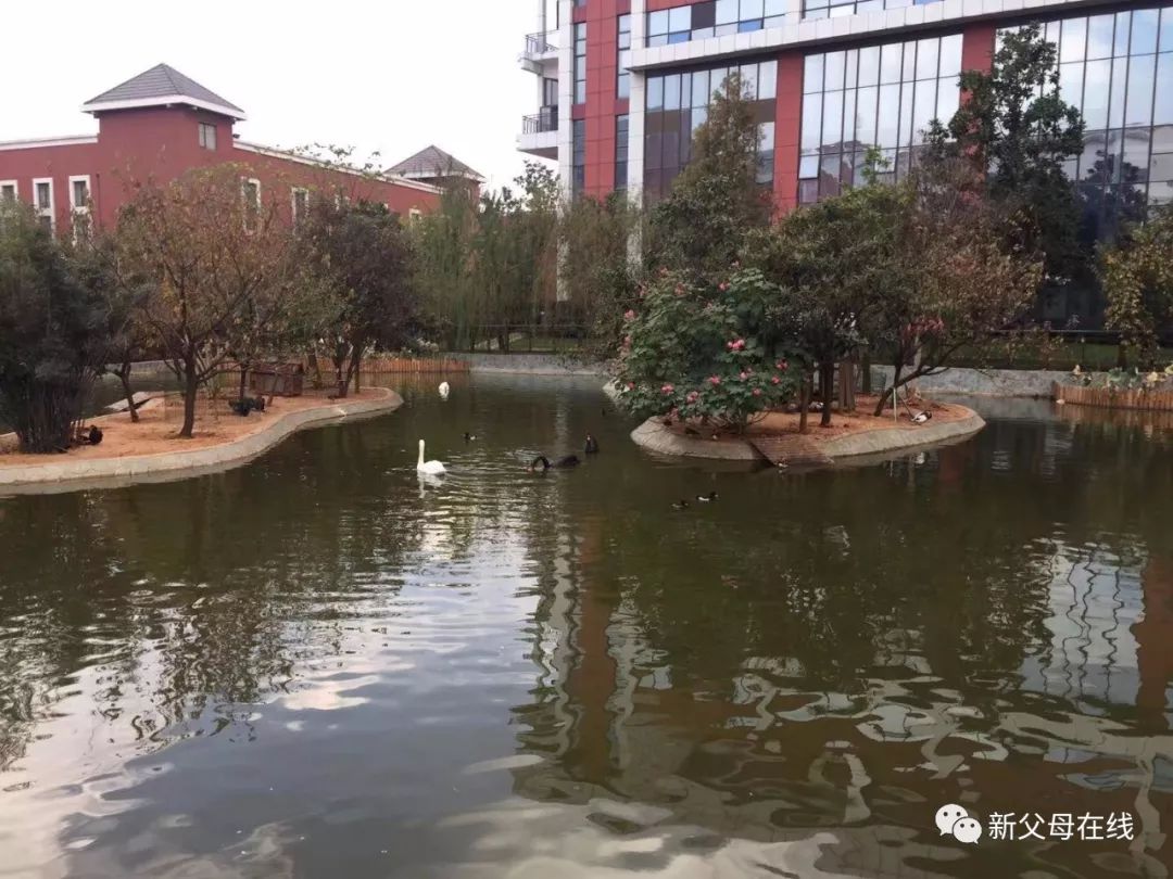 武汉最好的高中学校排名,武汉最好的3+2学校