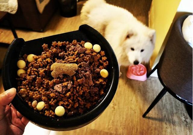 萨摩耶吃哪种牌子的狗粮最适合,萨摩耶鲜食狗粮怎么选