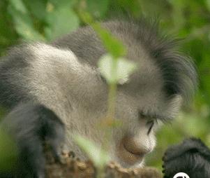 白羊座老公对老婆是怎样的,有一个白羊座的男朋友是什么体验