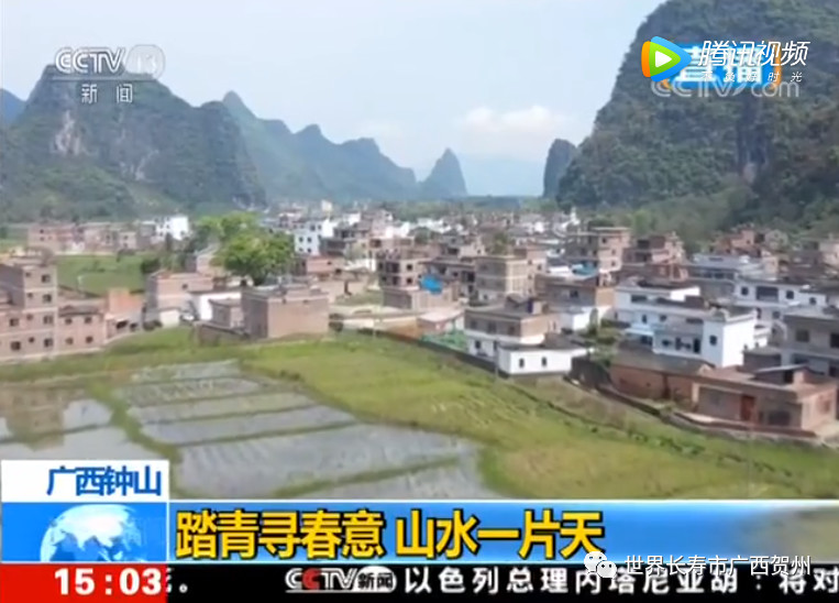 过去的一周你都经历了什么,过去的一年你错过了哪些大瓜