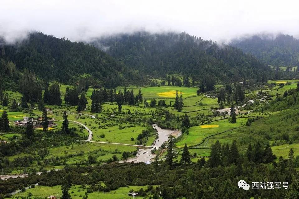 鏋楄姖鍐涙梾,鏋楄姖鍐涜惀鍦扮偣