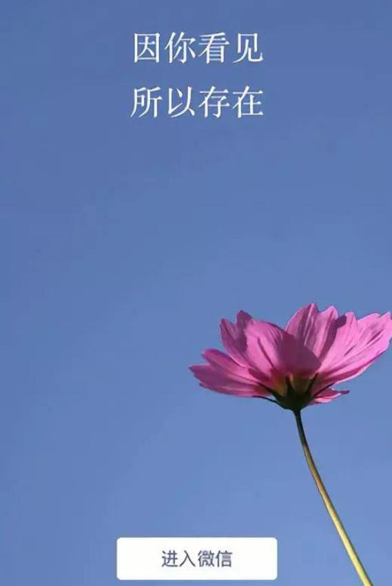 华为手机不兼容微信7.0,华为手机微信无法更新到7.0.10