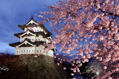 从东京到北海道坐船的费用,北海道旅游多少费用报团
