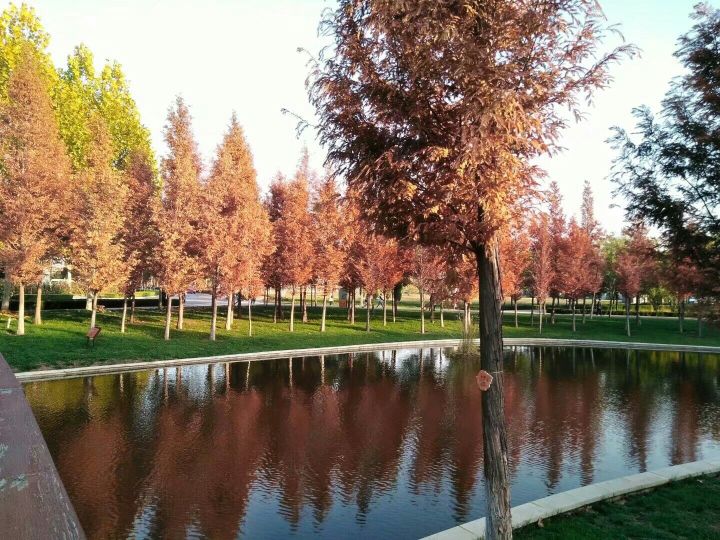 河南省洛阳师范学院,河南省师范高等专科学校