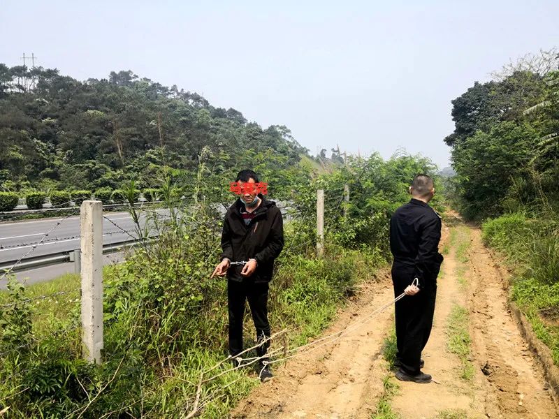 男子偷蜂蜜被拘留下集,男子深夜偷蜂蜜被抓