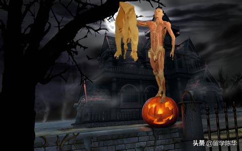 英国学校主要节日有哪些,英国主要的节日有哪些