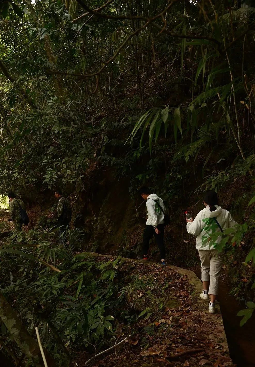 新生代黑马之百花潭！汤香蕴郁百花香，世外桃源的茶，一喝就沉醉