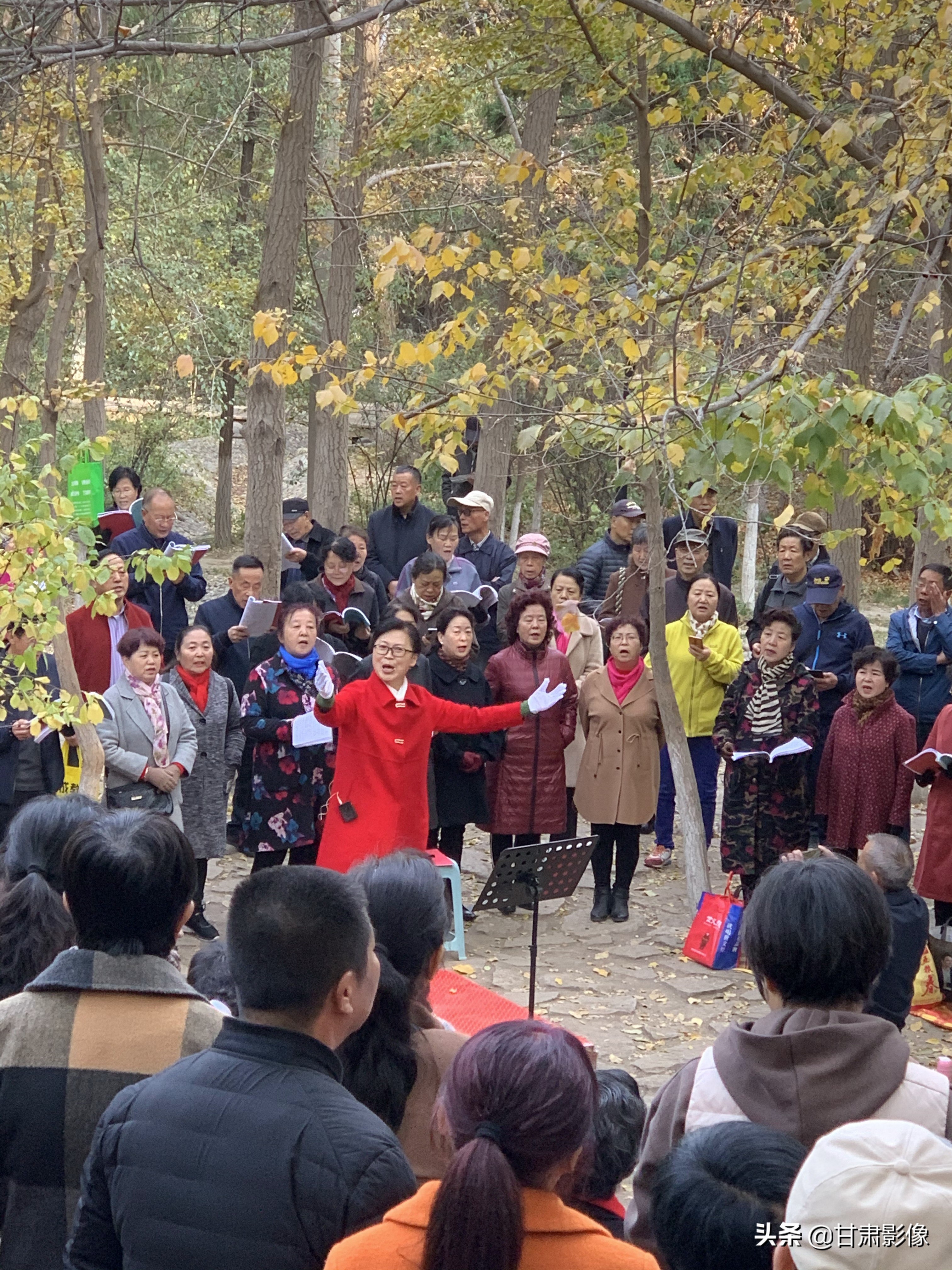 告别2021年的夏天手机摄影,简单手机摄影2020不平凡的一年