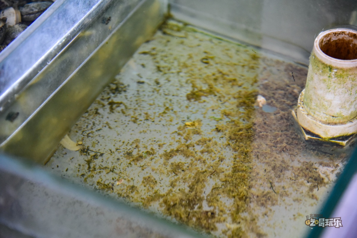 带海鲜池的餐厅,海鲜汤粉北海