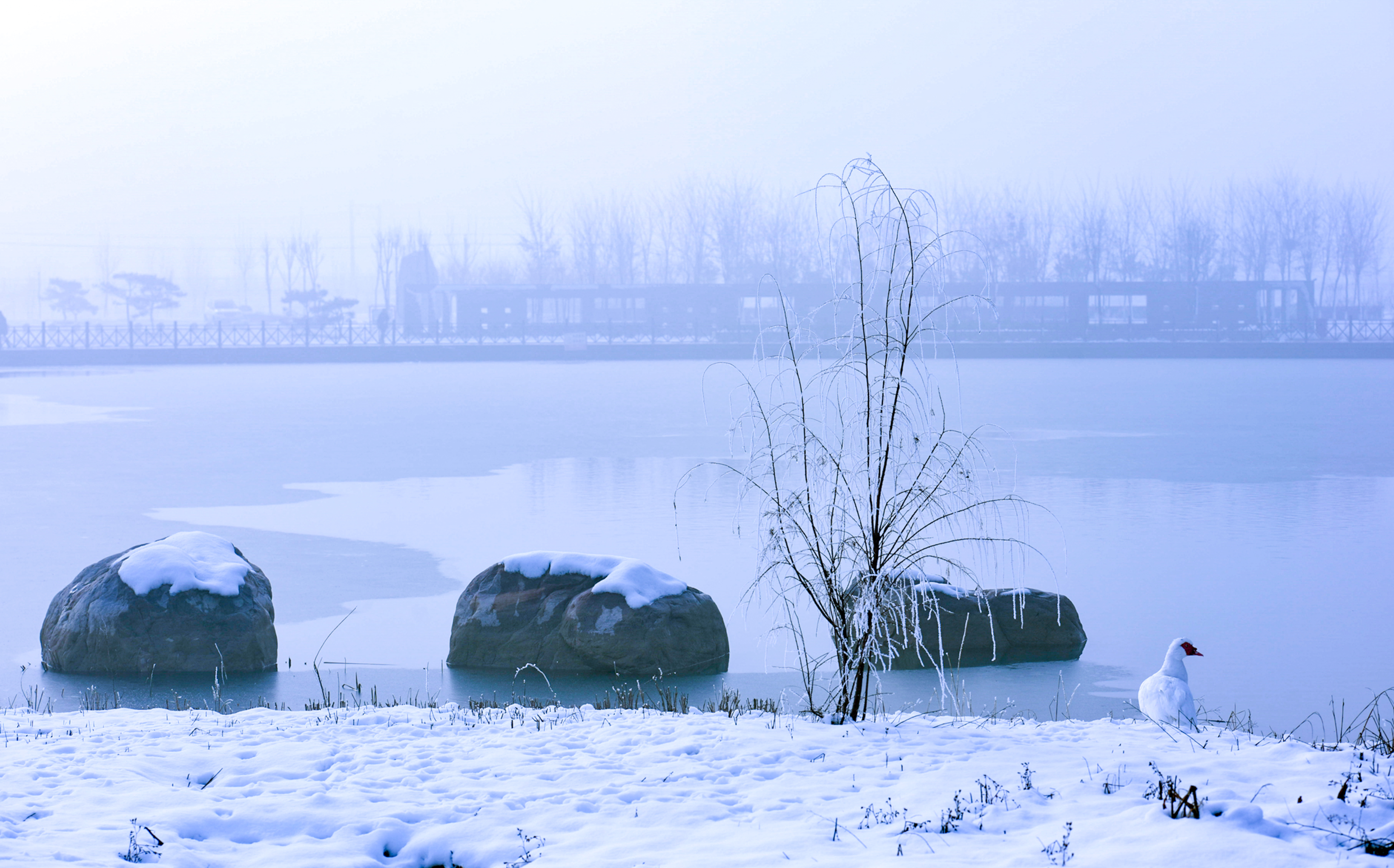 兰考新貌摄影集,兰考摄影团队