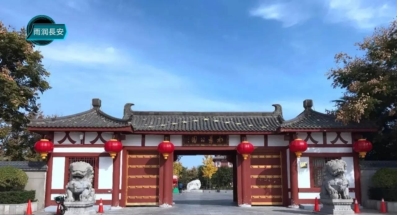 市政趣闻：对话318，南下西安路