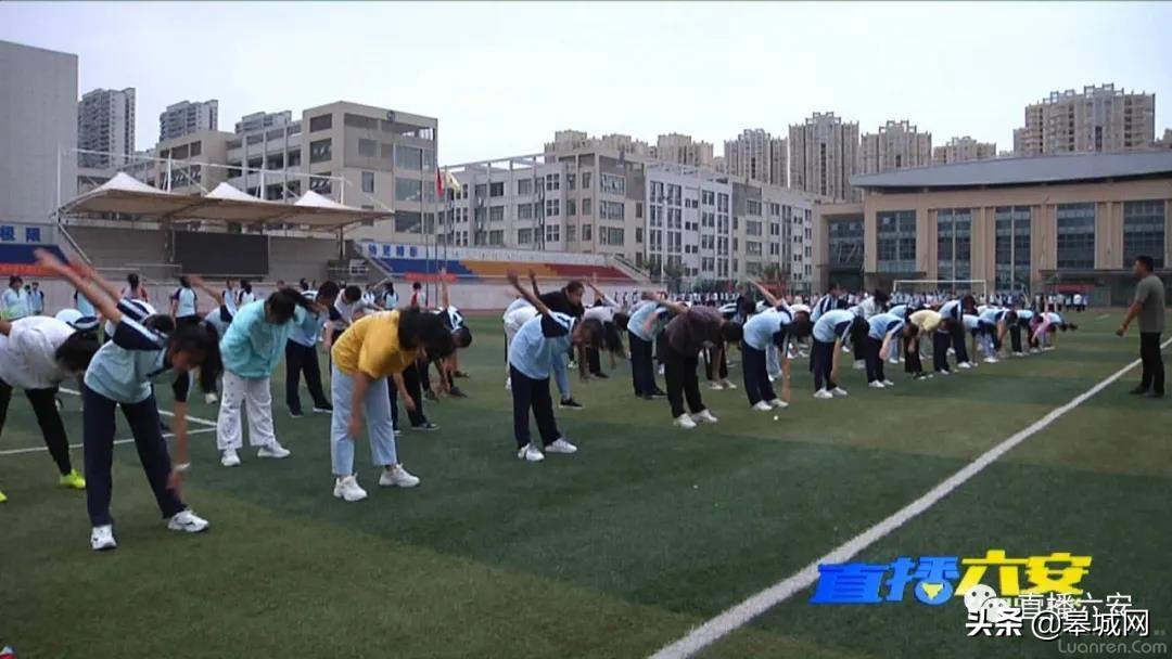 双减政策小学科普,双减政策家长热评