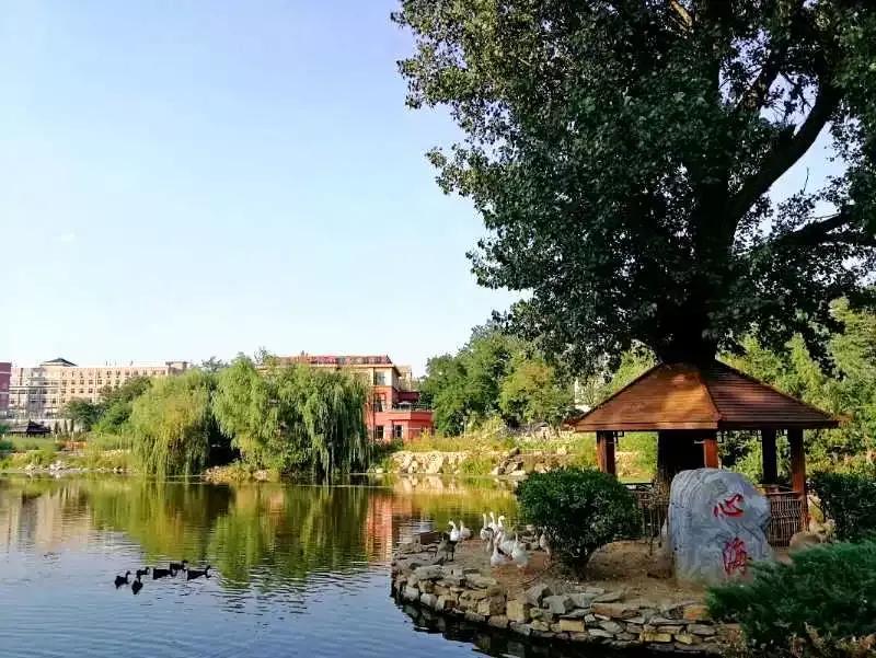 大连海事大学和辽宁省哪个级别高,大连海事大学辽宁省大学排名