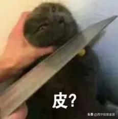 西宁市各区房价一览表,西宁各区房价一览表