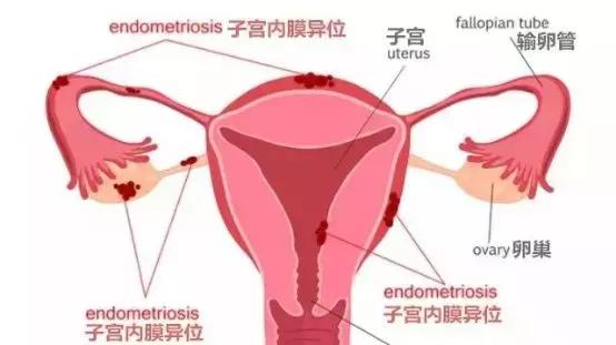 三八节愿你温柔不变,三八女神节愿你被温柔以待