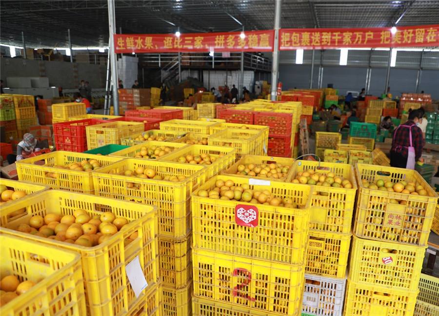 拼多多对特色农产品的助农政策,拼多多农产品新政