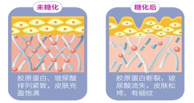 抗糖化，雪莲培养物C位出道