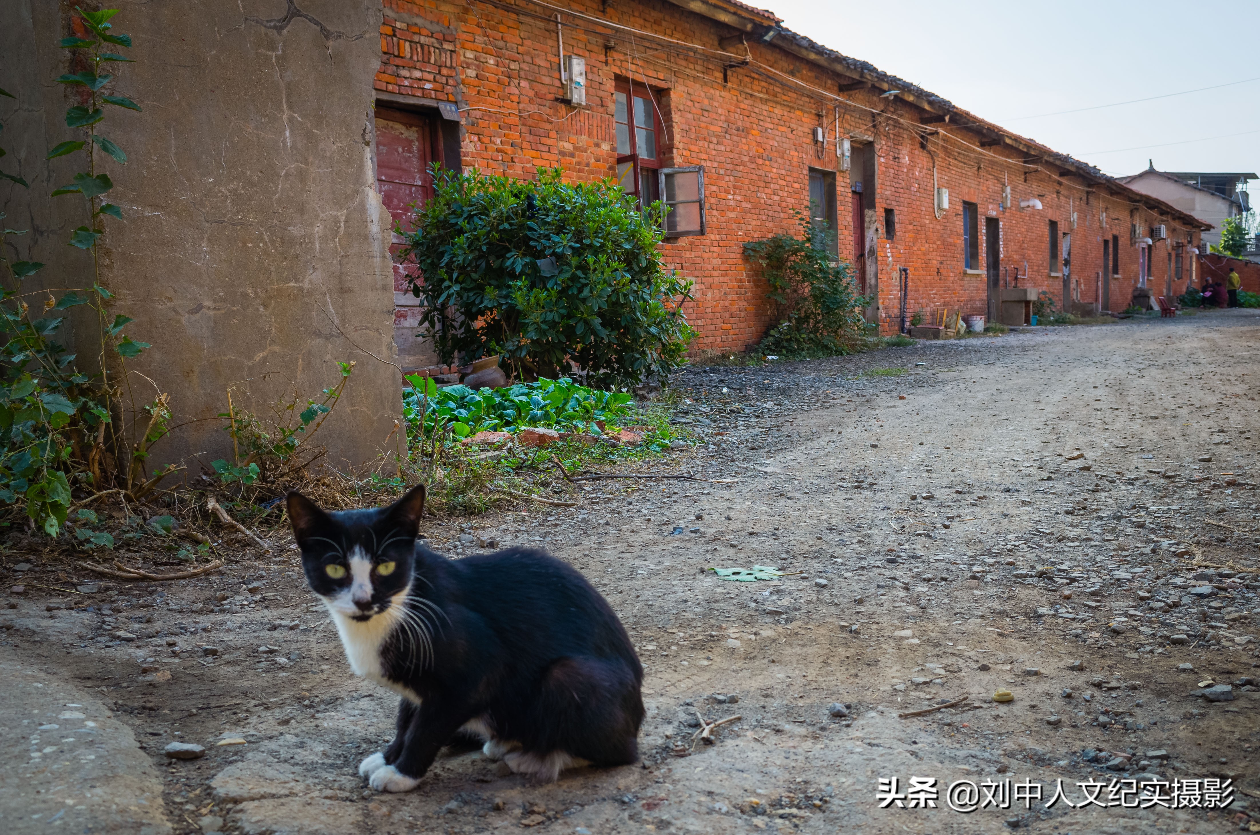 李家集云雾山,黄陂区李家集云雾山