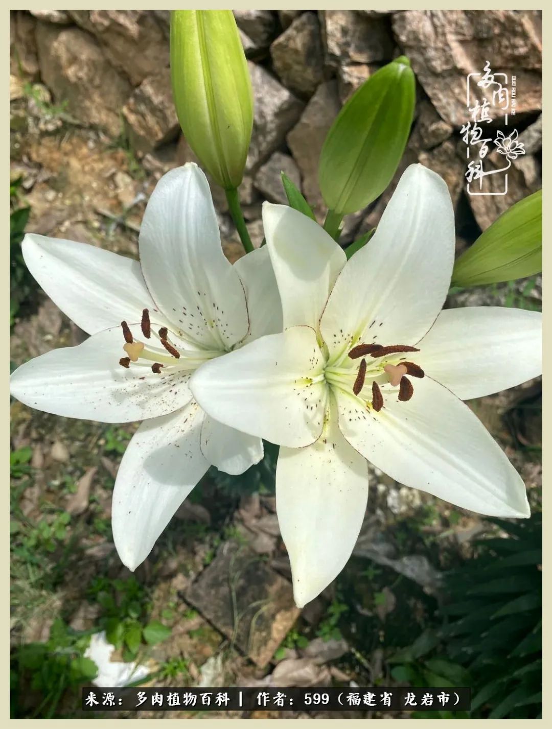 所有的热爱都不遗余力,所有的忙碌都是因为热爱