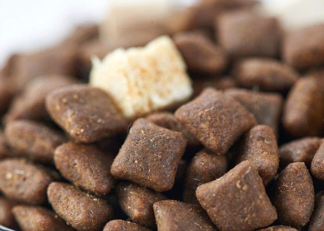 小猫咪总是喜欢咬人怎么训练,如何改掉猫咪爱咬人抓人的习惯