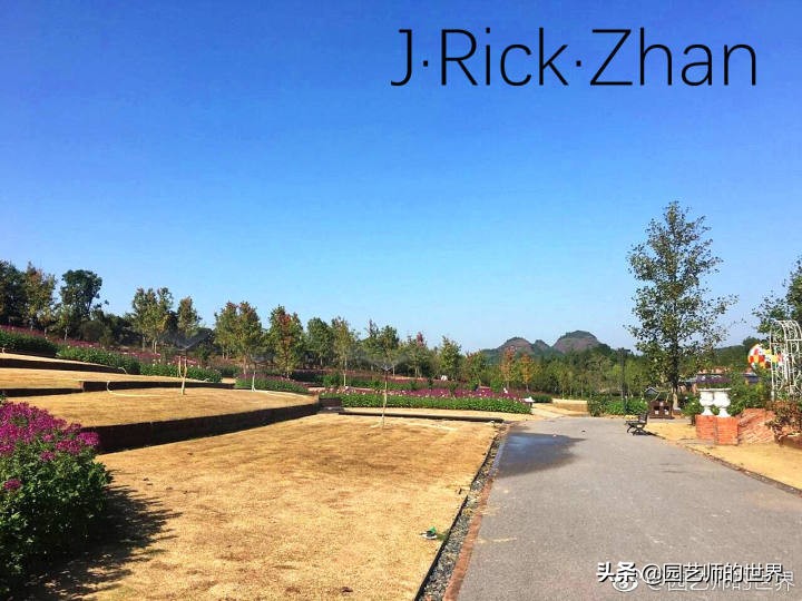 怎样种植草坪技术,果岭草坪的种植养护方法及技巧