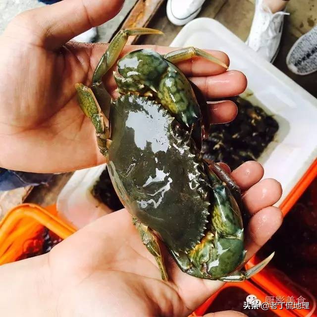 中国海鲜地图,中国海鲜最多地区