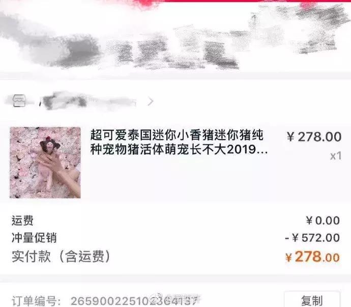 双11购物狂冠军视频,双11购物荒冠军排名