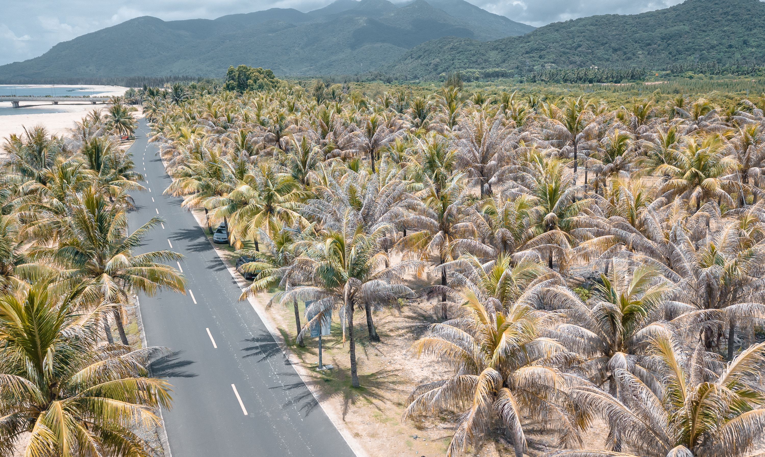 本地三亚人去哪玩,三亚本地人去的海鲜海港