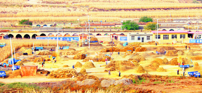 庆丰收感党恩山东各地丰收节活动,庆丰收感党恩宴席背景图片