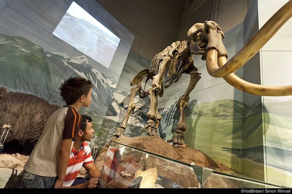 最A的景配最飒的人之既A又飒威尔士