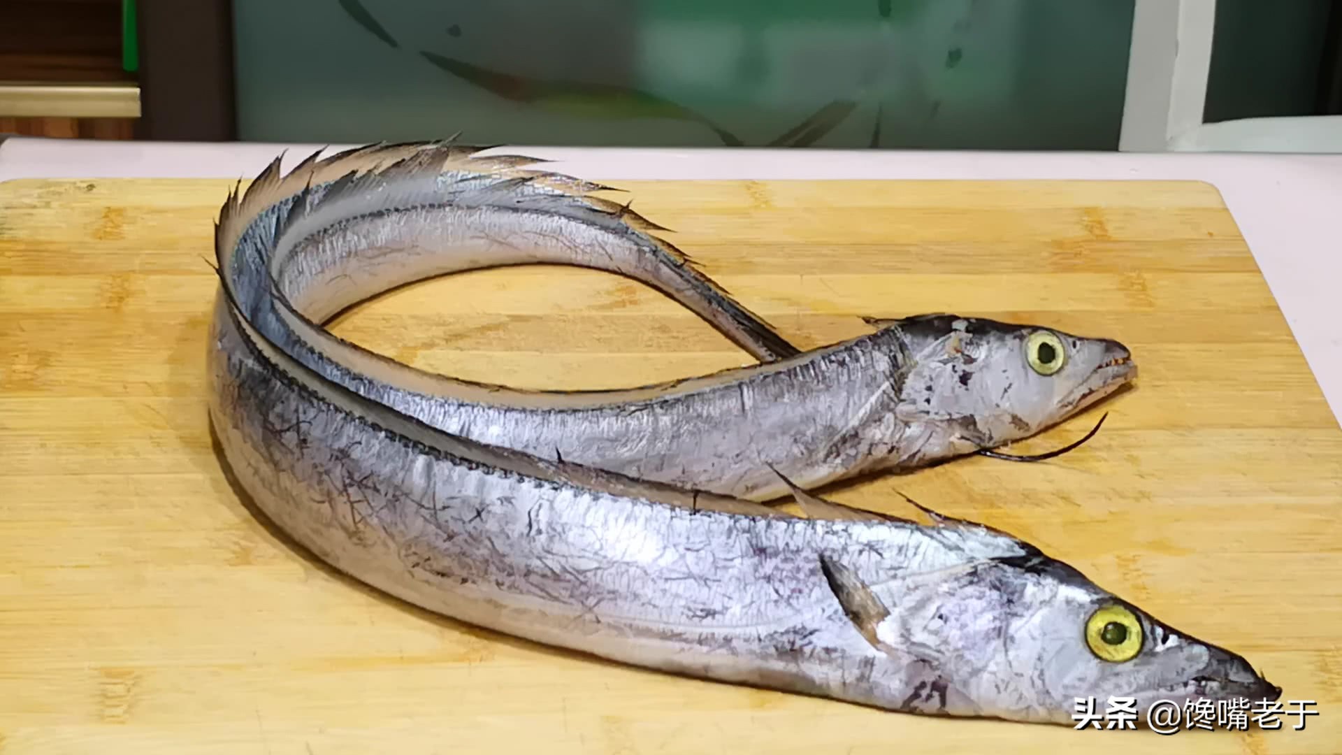 带鱼为什么是深海鱼却那么便宜,带鱼为什么只在深海里才能活