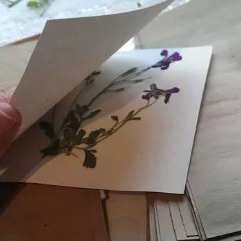 买手机送的透明壳,太难看?小姐姐教你做出最美“花壳”,收藏